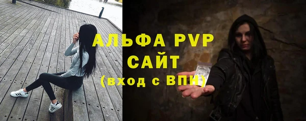 прущие грибы Богданович