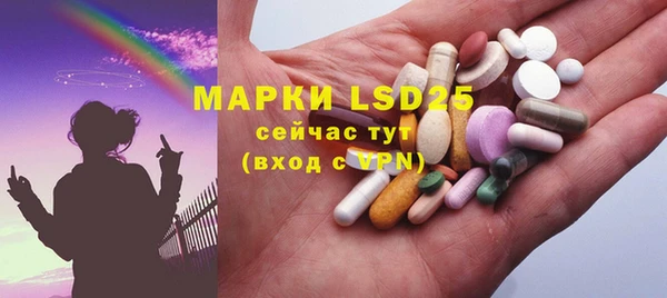 PSILOCYBIN Белокуриха