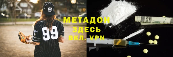 прущие грибы Богданович