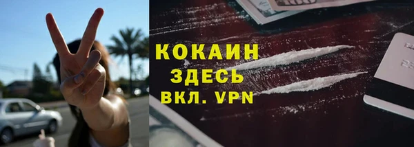 PSILOCYBIN Белокуриха
