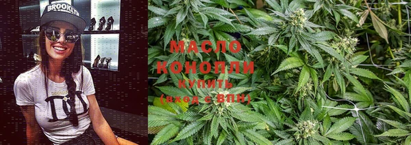 spice Богородицк