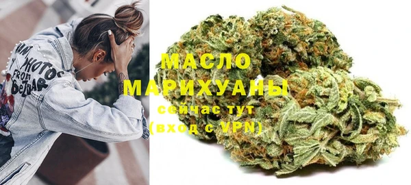 spice Богородицк