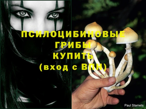ешки Саранск