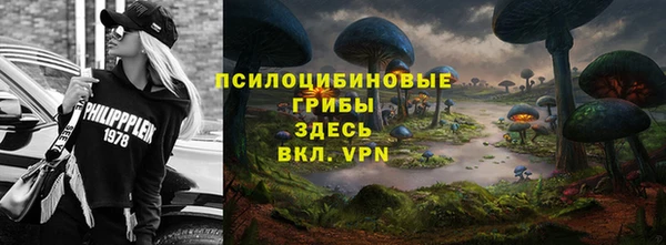 PSILOCYBIN Белокуриха