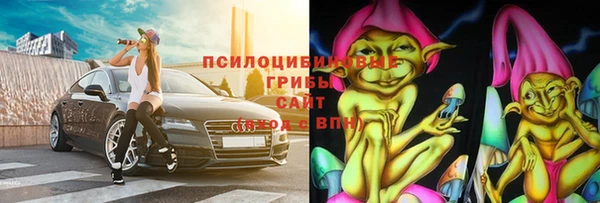 spice Богородицк