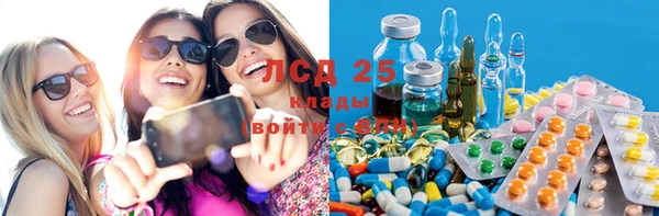 spice Богородицк