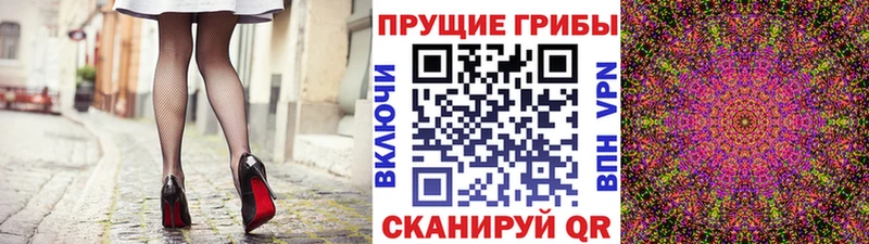 Псилоцибиновые грибы MAGIC MUSHROOMS  blacksprut как войти  Кедровый 